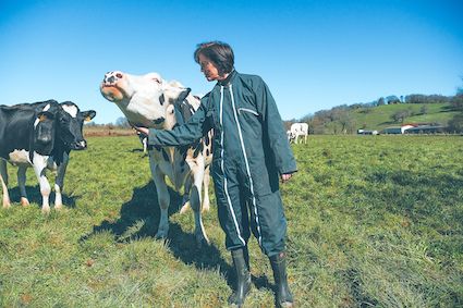 ÉLEVEURS SOUS LE CHOC – Le covid de la vache met en danger les exploitations